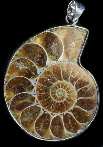 Fossil Ammonite Pendant - Million Years Old #37889
